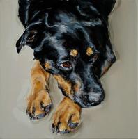 Fotos de cachorros pinturas em tela personalizadas