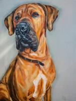 Dogue-Alemao-cachorro-pintura