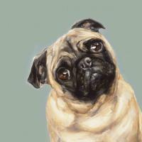 Foto-de-Cachorro-Pug-em-quadro-personalizado