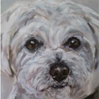 Quadro-arte-de-cachorro-branco-lhasa