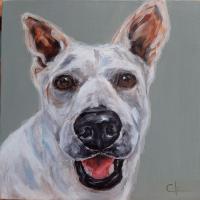 cachorro-branco-pintura