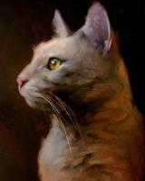 gato-azul-russo-gato-cinza-korat-em-quadro-de-gatos-